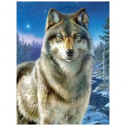Алмазная мозаика 40х50 Дикий волк (GF-234) * Алмазная мозаика