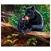 Картина по номерам 40х50 Медведица с медвежонком (RDG-2439) * Картина по номерам
