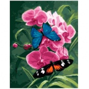 Картина по номерам 30x40 Бабочки на цветах (M-0215) * Картина по номерам